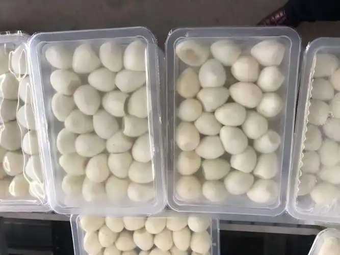 整線解決方案，優(yōu)化生產(chǎn)流程：鵪鶉蛋包裝神器來襲